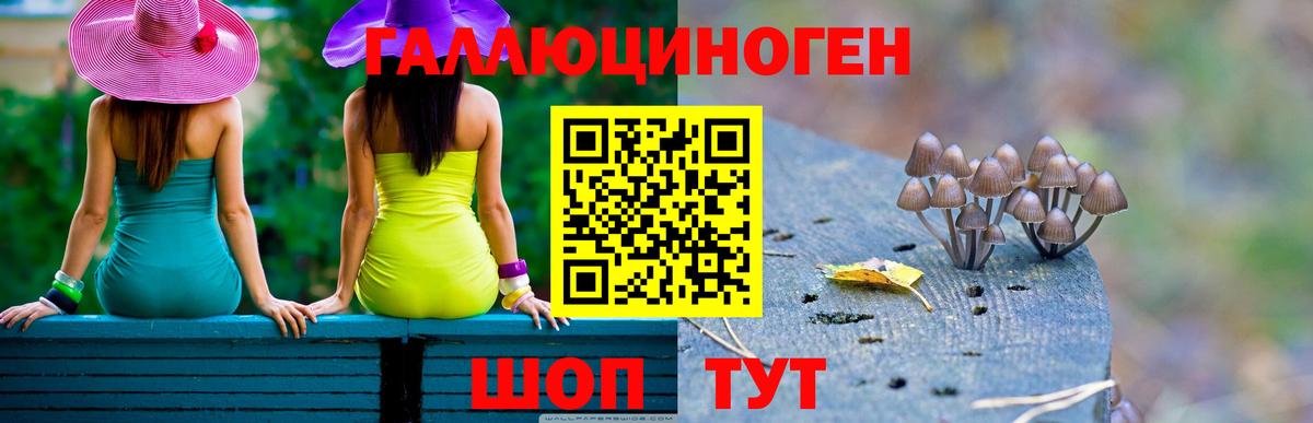Галлюциногенные грибы GOLDEN TEACHER  Вход с VPN  Галлюциногенные грибы прущие грибы  Назрань 